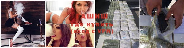 мяу мяу мука Елизово