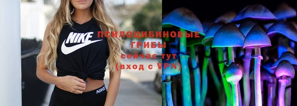 мяу мяу мука Елизово