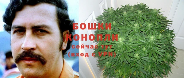 мяу мяу мука Елизово