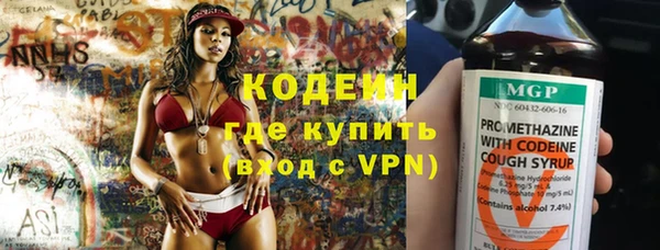 трава Ельня