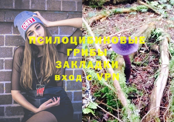 мяу мяу мука Елизово