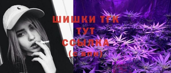 трава Ельня