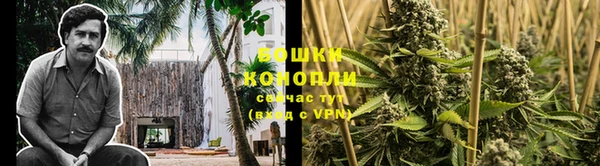 гидра Алапаевск