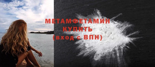 трава Ельня