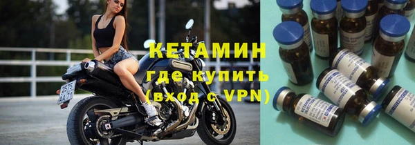 трава Ельня