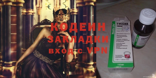 трава Ельня